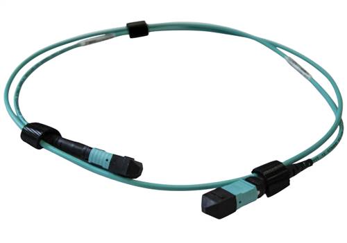 Allied Telesis AT-MTP12-1