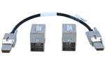 Cisco C9200-STACK-KIT Stack kit for C9200 SKUs only: Two data stack adapters and one data stack cable