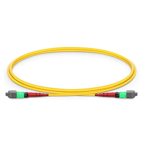 Single Mode MPO-24 (Female) To MPO-24 (Female) Trunk Cable (24 Fiber, 9/125 OS2, Type B, LSZH)