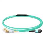 Mellanox MCP2M00-A005E26L
