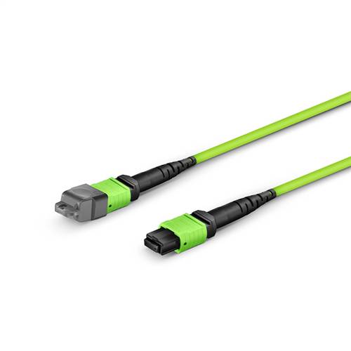 Multimode OM5 MPO to MPO Trunk Cable, 12 Fiber, Female to Female, Type B, LSZH, 7m (23ft)