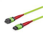 MM OM5 MPO-24 Trunk Cable, 24 Fiber, Fem to Fem, LSZH, 2m