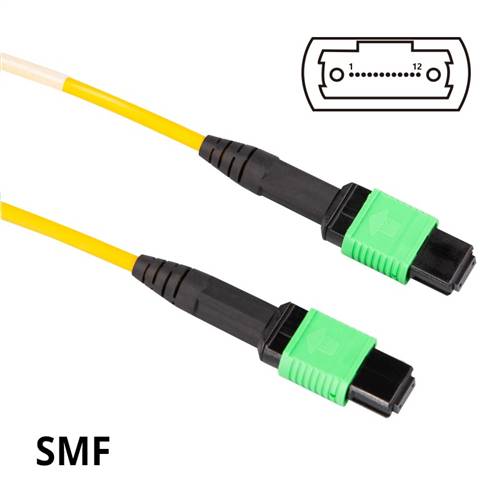 OS2 Singlemode MPO Female to MPO Female Trunk Cable, 12 Fiber, Type B, LSZH, 7m (23ft)