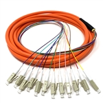 OM1 62.5/125 Multimode 12-Fiber Distribution Fiber Optic Pigtail