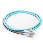 OM4 50/125 Multimode 12-Fiber Distribution Fiber Optic Pigtail