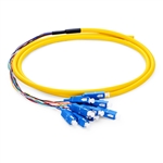 OS1 9/125 Singlemode 12-Fiber Distribution Fiber Optic Pigtail