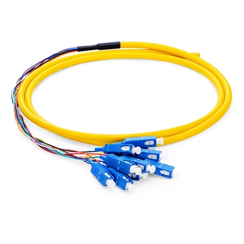 OS1 9/125 Singlemode 12-Fiber Distribution Fiber Optic Pigtail